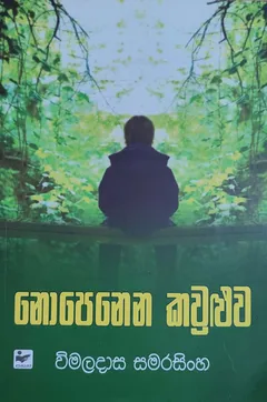නොපෙනෙන කවුළුව