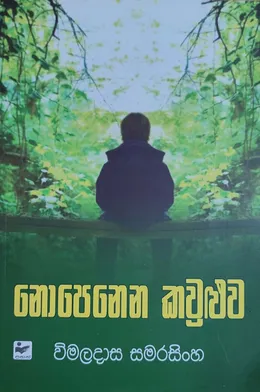 නොපෙනෙන කවුළුව